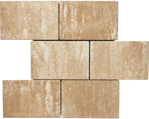 Sechs Pflastersteine aus Beton