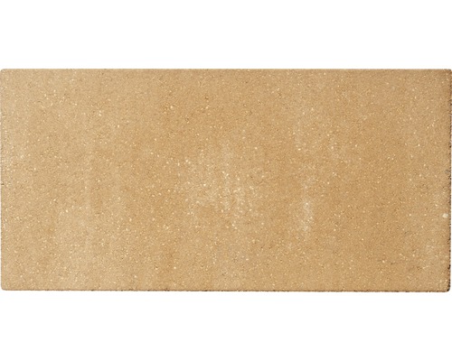 Einzelner Pflasterstein