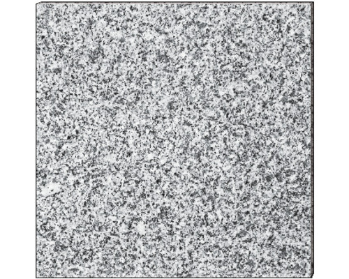 Granit Terrassenplatte grau 60 x 60 x 3 cm