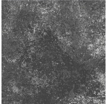 Feinsteinzeug Wand- und Bodenfliese Heidelberg schwarz 18,6 x 18,6 cm