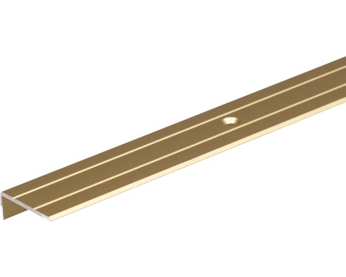 Treppenprofil Alu gold eloxiert 24,5x10x1,5 mm, 1 m Aluminium Treppenkantenprofil mit Schraubloch