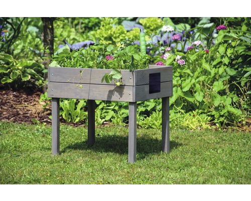 Hochbeet aus Holz mit Pflanzen im Garten.