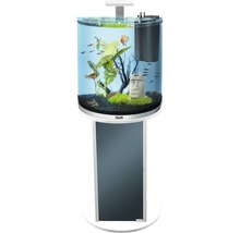 Komplettes Aquarium mit Fischen, Pflanzen und Dekoration auf einem Unterschrank