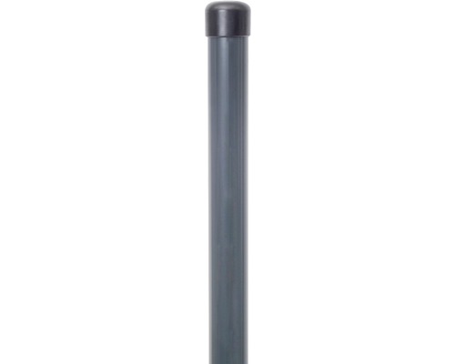 Zaunfeldpfosten ALBERTS ungebohrt zinkphosphatiert RAL 7016 inkl. Pfostenkappe ⌀ 3,4 x 122,5 cm anthrazit Zaunfeldpfosten ALBERTS ungebohrt zinkphosphatiert RAL 7016 inkl. Pfostenkappe ⌀ 3,4 x 122,5 cm anthrazit