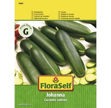 FloraSelf Johanna Salatgurke Samen Packung
