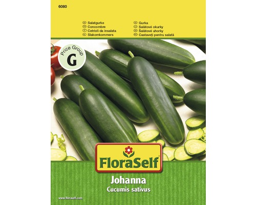 FloraSelf Johanna Salatgurke Samen Packung