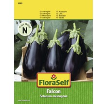 FloraSelf Falcon Auberginen-Samenpackung