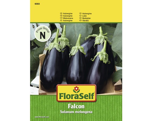 FloraSelf Falcon Auberginen-Samenpackung
