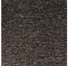 Teppichboden Schlinge Safia dunkelbeige FB39 400 cm breit (Meterware)