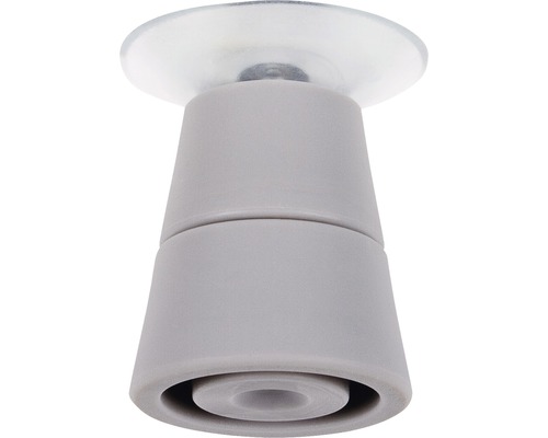 Grauer Saugnapf zur Befestigung