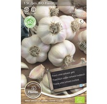Packung französischer, weißer, weichhalsiger Knoblauch zum Anpflanzen