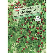Erdbeerspinat 'Rote Gans' Gemüsesamen Sperli