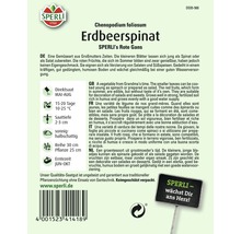 Erdbeerspinat 'Rote Gans' Gemüsesamen Sperli