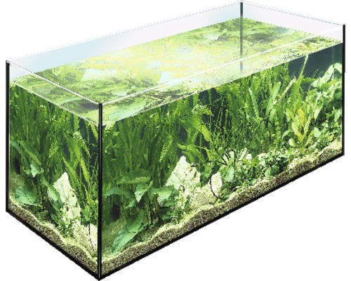 Aquarium EHEIM 30 x 20 x 20 cm, ca. 12 l