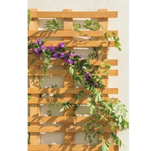 Holzspalier mit Kletterpflanzen zur Gartendekoration