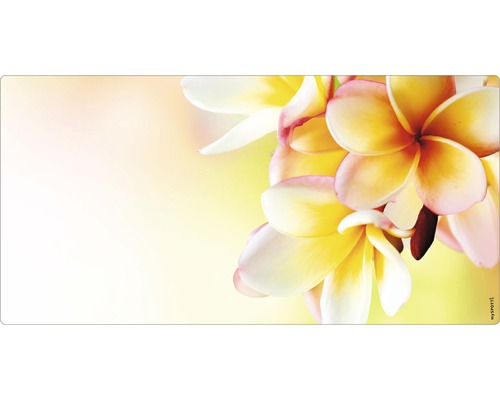 Badrückwand mySPOTTI aqua Hawaii 90x45 cm Blüten auf einer Schreibtischunterlage