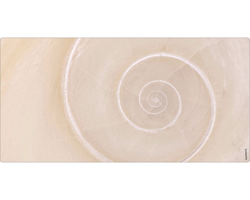 Badrückwand mySPOTTI aqua Schnecke 90x45 cm Nahaufnahme einer spiralförmigen Schneckenhausstruktur