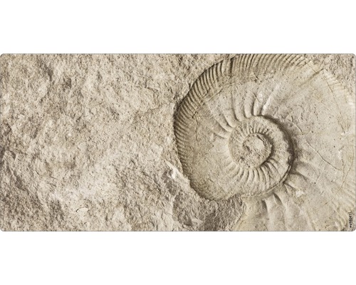 Badrückwand mySPOTTI aqua Fossil 90x45 cm Fossilienabdruck in Stein