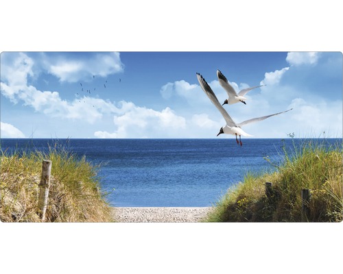 Badrückwand mySPOTTI aqua North Sea 90x45 cm Dekoratives Paneel mit Strandmotiv, Möwen und Meer