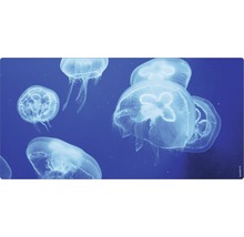 Mehrere Quallen im Wasser