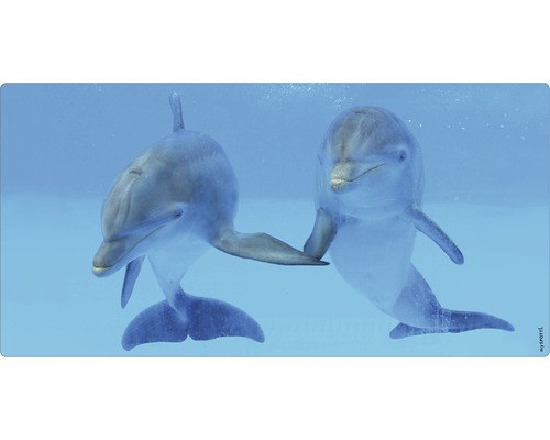 Badrückwand mySPOTTI aqua Delphin 90x45 cm Zwei Delfine unter Wasser