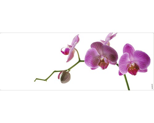 Badrückwand mySPOTTI aqua Orchid pink 120x45 cm Dekoratives Orchideen Motiv