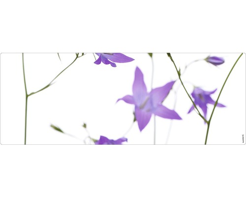 Badrückwand mySPOTTI aqua Glockenblume 120x45 cm Nahaufnahme von Glockenblumen