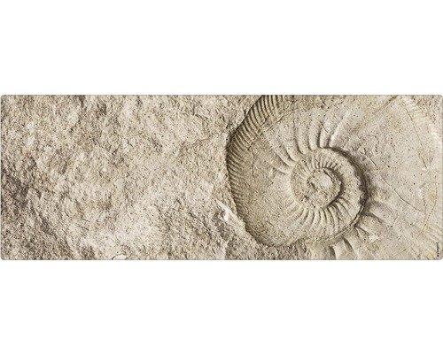 Badrückwand mySPOTTI aqua Fossil 120x45 cm Fossilienabdruck in Stein