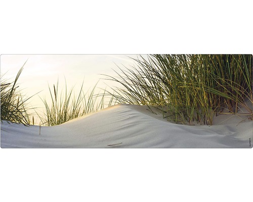 Badrückwand mySPOTTI aqua Dune 120x45 cm Dekoratives Wandbild mit Dünenmotiv und Gras