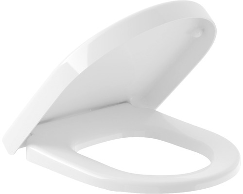 Toilettendeckel aus Kunststoff