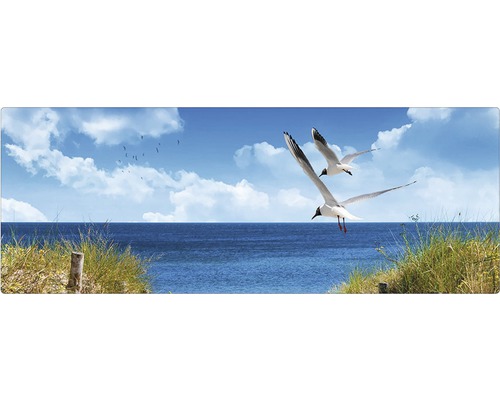 Badrückwand mySPOTTI aqua North Sea 120x45 cm Meerblick mit fliegenden Möwen und Strandgras