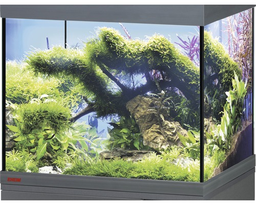 Aquarium, Glasbecken EHEIM GB 82 vivalineLED 126, ca. 81 x 36 x 40 cm, ca. 126 l, nur mit oberer Blende anthrazit, ohne Beleuchtung und weitere Technik, ohne Inhalt Eingerichtetes Aquarium mit Wasserpflanzen und Dekoration