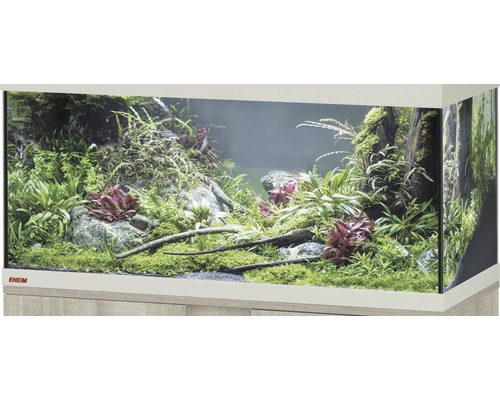 Aquarium, Glasbecken EHEIM GB 105 vivalineLED 180, ca. 101 x 41 x 49 cm, ca. 180 l, nur mit oberer Blende, eiche grau, ohne Beleuchtung und weitere Technik, ohne Inhalt Eingerichtetes Aquarium mit Pflanzen, Steinen und Holzdekoration