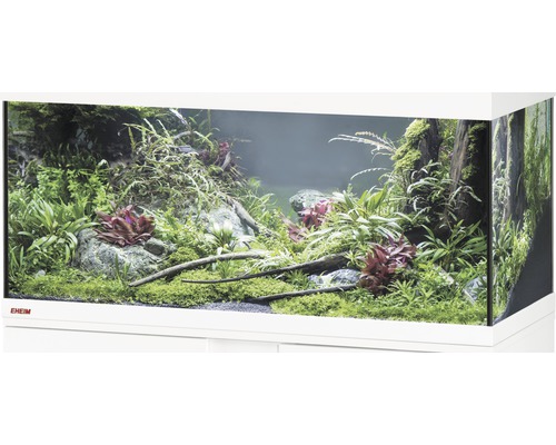 Aquarium, Glasbecken EHEIM GB 105 vivalineLED 180, ca. 101 x41 x 49 cm, ca. 180l, nur mit oberer Blende weiß, ohne Beleuchtung und weitere Technik, ohne Inhalt Aquarium mit Pflanzen, Steinen und Holzdekoration in weißem Rahmen