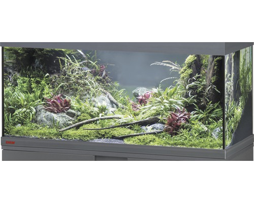 Aquarium, Glasbecken EHEIM GB 105 vivalineLED 180, ca. 101 x 41 x 49 cm, ca. 180 l, nur mit oberer Blende anthrazit, ohne Beleuchtung und weitere Technik, ohne Inhalt Eingerichtetes Aquarium mit Pflanzen, Steinen und Holzwurzeln