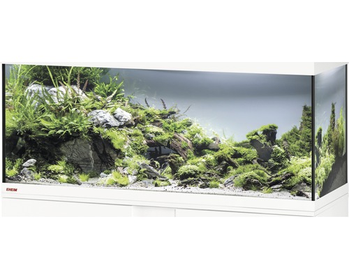 Aquarium, Glasbecken EHEIM GB 123 vivalineLED 240, ca. 121 x 41 x 54 cm, ca. 240 l, nur mit oberer Blende weiß, ohne Beleuchtung und weitere Technik, ohne Inhalt Eingerichtetes Aquarium mit Pflanzen, Steinen und Holzwurzeln