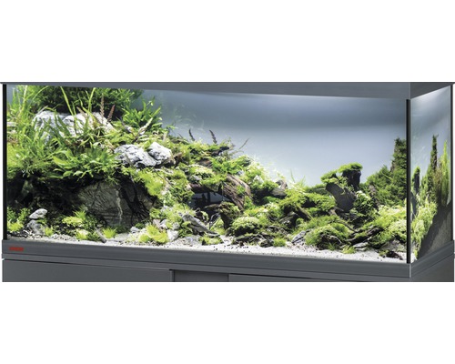 Aquarium, Glasbecken EHEIM GB 123 vivalineLED 240, ca. 121 x 41 x 54 cm, ca. 240 l, nur mit oberer Blende anthrazit, ohne Beleuchtung und weitere Technik, ohne Inhalt Eingerichtetes Aquarium mit Pflanzen, Steinen und Wurzelholzdekoration
