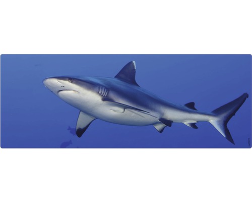 Badrückwand mySPOTTI aqua Hai 120x45 cm Ein Hai schwimmt im Ozean.