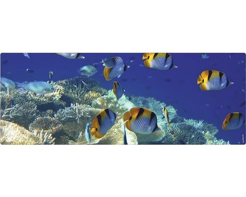 Badrückwand mySPOTTI aqua Unterwasser 120x45 cm Dekoratives Motiv mit Fischen und Korallenriff für den Innenbereich