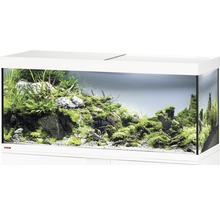 Eheim Aquarium mit Pflanzen und Dekoration