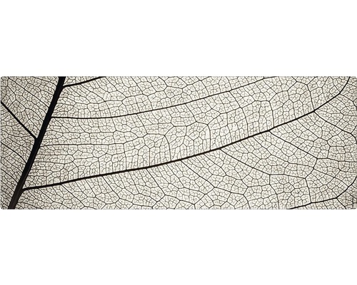 Badrückwand mySPOTTI aqua Struktur 120x45 cm Detailaufnahme eines Blattgerippes
