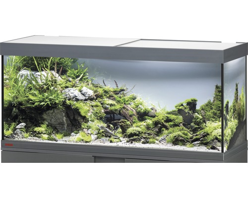 Eheim Komplett Aquarium Vivaline 240 online mit Besatz 240 Liter