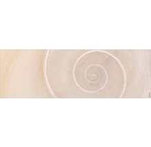 Nahaufnahme einer hellen, spiralförmigen Schneckenhausstruktur