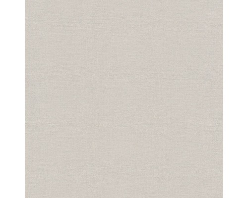 Vliestapete 448610 Kalahari & Salsa Uni grau Helle Vinyltapete mit leichter Textur