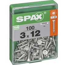 Schrauben der Größe 3x12 Millimeter, 100 Stück in einer Packung