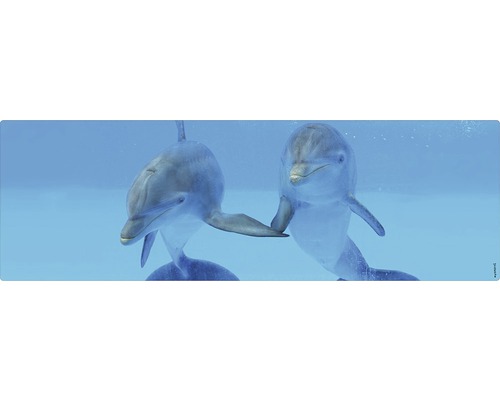 Badrückwand mySPOTTI aqua Delphin 140x45 cm Dekoratives Bild von zwei Delfinen unter Wasser