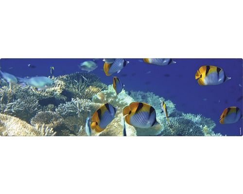 Badrückwand mySPOTTI aqua Unterwasser 140x45 cm Dekoratives Unterwassermotiv mit Fischen und Korallenriff