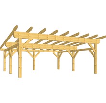Holzkonstruktion Pultdach 550 x 600 cm-thumb-0
