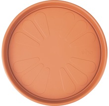 Pflanzenuntersetzer aus Kunststoff