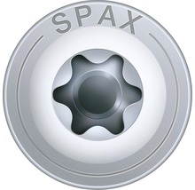 Detailaufnahme eines Spax Schraubenkopfes